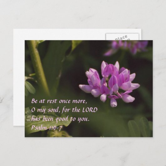 Carte Postale Fleur sauvage flottant (Devant / Derrière)