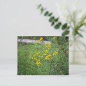 Carte postale Fleur sauvage jaune (Debout devant)