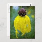 Carte Postale Fleur sauvage jaune (Devant / Derrière)