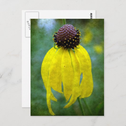 Carte Postale Fleur sauvage jaune (Devant / Derrière)