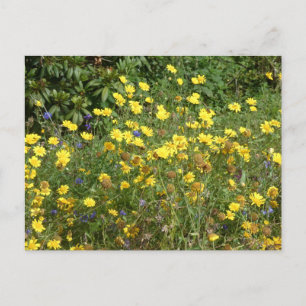 Carte postale Fleur sauvage jaune do-it-yourself