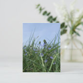 Carte postale fleur sauvage Meadow (Debout devant)