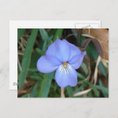 Carte Postale Fleur sauvage Oiseaux-Pied Violet IV sources therm (Devant / Derrière)