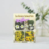 Carte Postale Fleur sauvage, Parc national Los Glaciares (Debout devant)