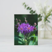 Carte postale Fleur sauvage pourpre aux algues App (Debout devant)