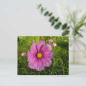 Carte Postale Fleur sauvage rose (Debout devant)