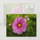 Carte Postale Fleur sauvage rose (Devant / Derrière)