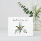 Carte postale Fleur sauvage Trillium Spring Peint (Debout devant)
