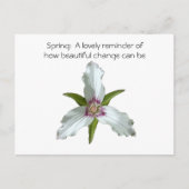 Carte postale Fleur sauvage Trillium Spring Peint (Devant)