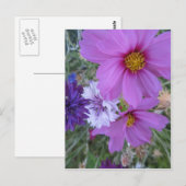 Carte Postale fleur sauvage violet (Devant / Derrière)