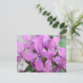 Carte postale fleur sauvage violette (Debout devant)