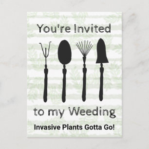 Carte postale fleur sauvage Week Invitation