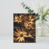 Carte Postale Fleur sèche Abstraite (Debout devant)