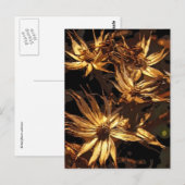 Carte Postale Fleur sèche Abstraite (Devant / Derrière)