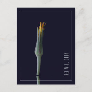 Carte Postale Fleur simple et élégante personnalisée s'en sorten