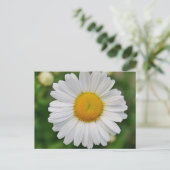 Carte Postale Fleur simple marguerite (Debout devant)