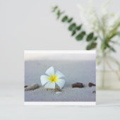 Carte Postale Fleur sur la plage (Debout devant)