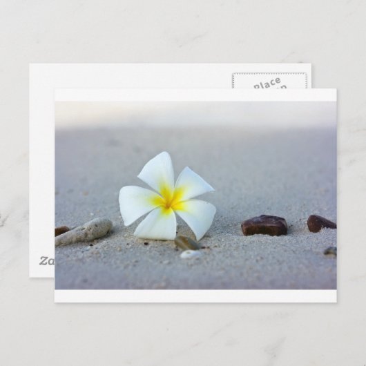 Carte Postale Fleur sur la plage (Devant / Derrière)