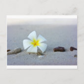 Carte Postale Fleur sur la plage (Devant)