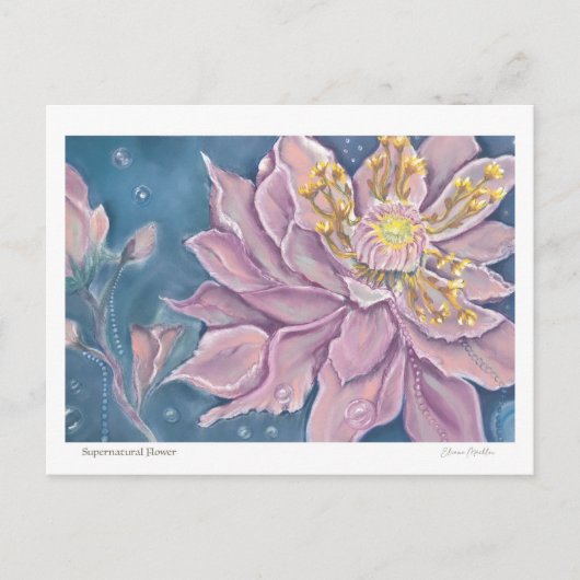 Carte Postale Fleur surnaturelle (Devant)