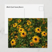 Carte Postale Fleur Susan Eyed (Devant / Derrière)