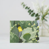 Carte Postale Fleur Texas Cactus (Debout devant)