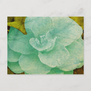 Carte Postale Fleur Texturée par Shirley Taylor