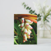 Carte Postale Fleur tropicale exotique luxuriante (Debout devant)