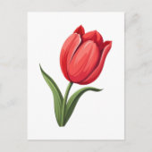 Carte Postale Fleur Tulipe (Devant)