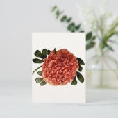 Carte Postale Fleur Vintage classique (Debout devant)
