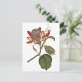 Carte Postale Fleur vintage Passion (Debout devant)