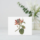 Carte Postale Fleur vintage Passion (Debout devant)