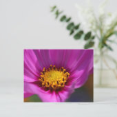 Carte Postale Fleur violet (Debout devant)