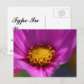 Carte Postale Fleur violet (Devant / Derrière)