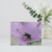 Carte Postale Fleur violet clair avec abeille (Debout devant)
