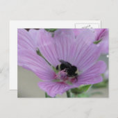 Carte Postale Fleur violet clair avec abeille (Devant / Derrière)