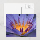 Carte Postale Fleur violet et or (Devant / Derrière)