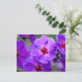 Carte Postale Fleur violette (Debout devant)