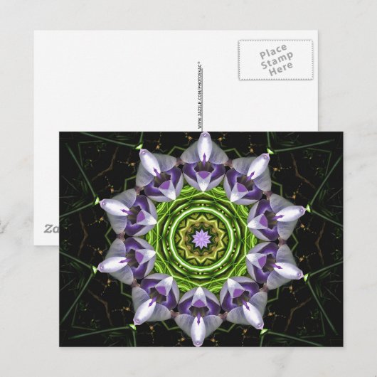 Carte Postale Fleur violette (Devant / Derrière)