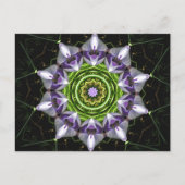 Carte Postale Fleur violette (Devant)