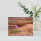 Carte Postale fleur violette (Debout devant)