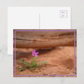 Carte Postale fleur violette (Devant / Derrière)