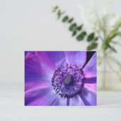 Carte Postale Fleur violette (Debout devant)