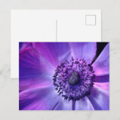Carte Postale Fleur violette (Devant / Derrière)