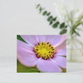 Carte Postale Fleur violette (Debout devant)