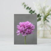 Carte Postale fleur violette avec fourmi (Debout devant)