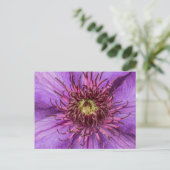 Carte Postale Fleur violette Clematis (Debout devant)