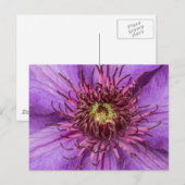 Carte Postale Fleur violette Clematis (Devant / Derrière)