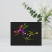 Carte Postale Fleur violette Fuchsia (Debout devant)