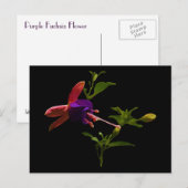 Carte Postale Fleur violette Fuchsia (Devant / Derrière)